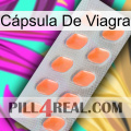 Cápsula De Viagra 26